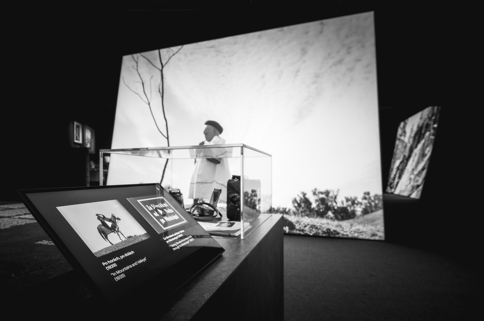 NZ6 2311 DxO DeepPRIME XD2s